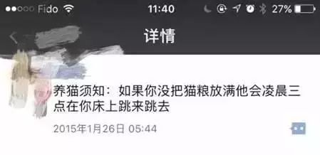 千万别养猫,来自万千网友的血泪控诉