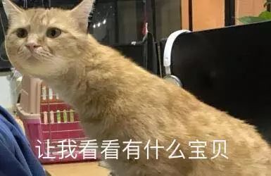 优雅知性衬衫怎么穿好看,简单的衬衫这样穿也好看