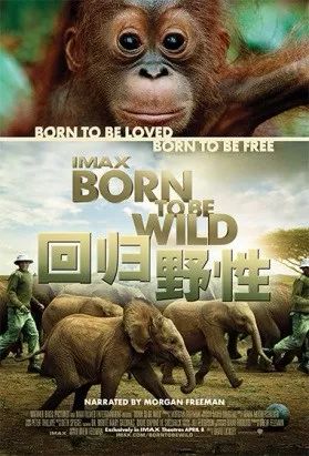 绉戝褰辫糠浜插瓙娌欓緳,绉戝褰辫糠浜插瓙娌欓緳娲诲姩