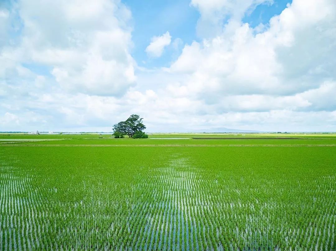 日本10条最好看电车线路,日本特急电车