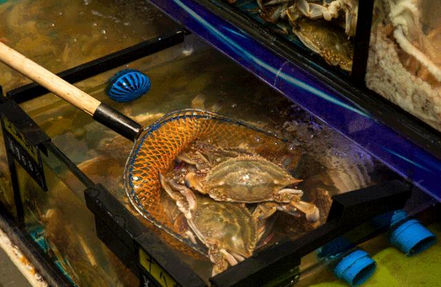 搬来个舟山「海鲜市场」!佛手、胭脂、大米鱼…你爱吃的海鲜从挑到做全get