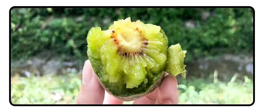 搬来个舟山「海鲜市场」!佛手、胭脂、大米鱼…你爱吃的海鲜从挑到做全get