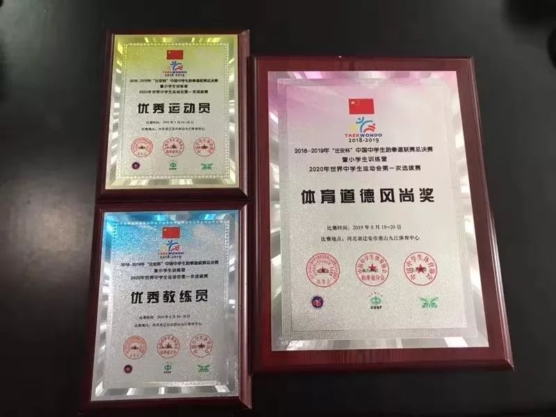 南京跆拳道最厉害的人,中国中学生跆拳道队