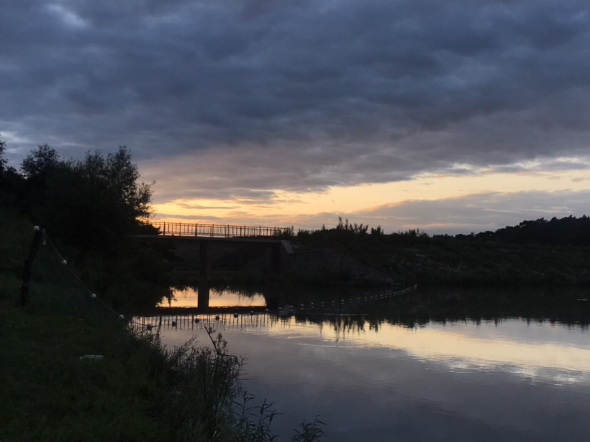 水库夜钓鲤鱼草鱼视频,水库夜钓大鲤鱼