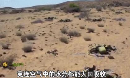 眼袋松弛下垂最快解决方法,严重眼袋下垂松弛怎么恢复