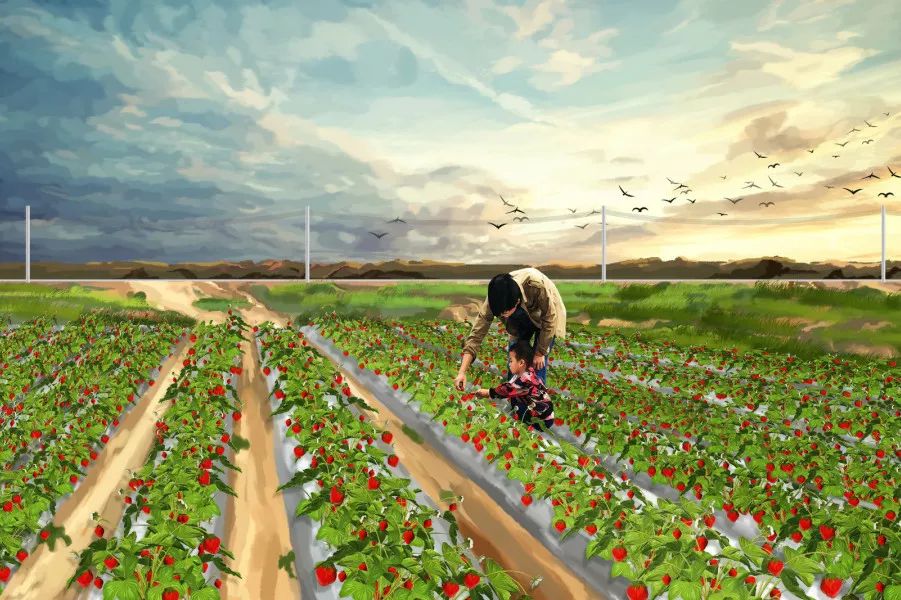 健康生活从日常饮食细节开启,最健康的生活方式和饮食方法