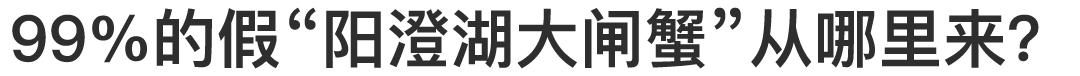 阳澄湖大闸蟹大部分是洗澡蟹吗,阳澄湖大闸蟹洗澡
