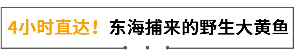 东海开渔第一网！20年本帮菜大佬开卖小海鲜，人均只要100+