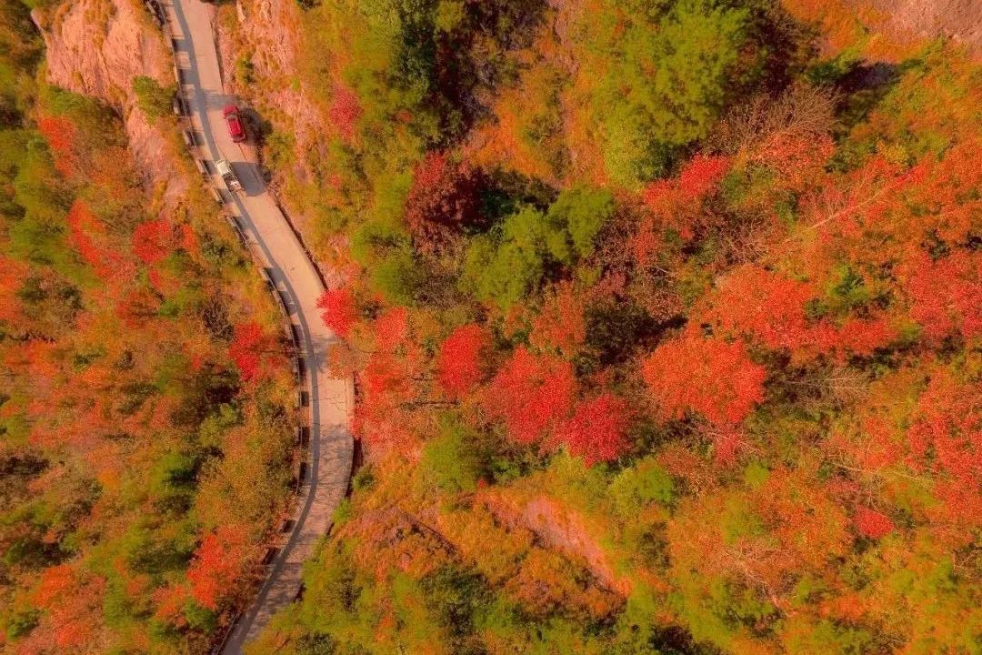 谁说江南无金秋？这座高铁直达的小县城靠一间仙气民宿，就撩到了无数隐居客