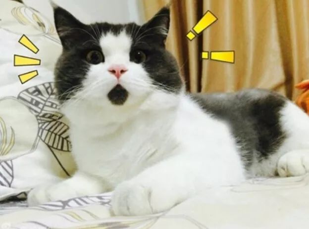 从地图上看八十天环游地球,八十天环游地球五个阶段