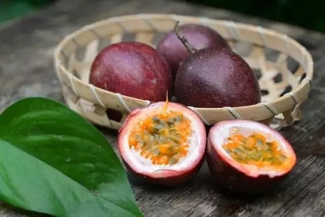 丹棱新水果,2022年新水果品种百香果