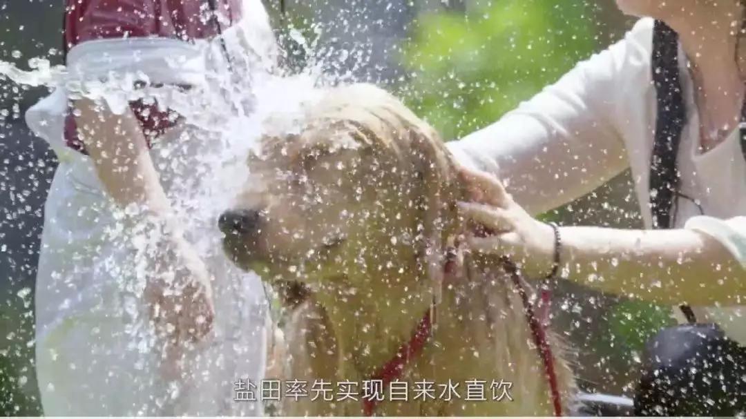 深圳市自来水直饮,深圳自来水水质