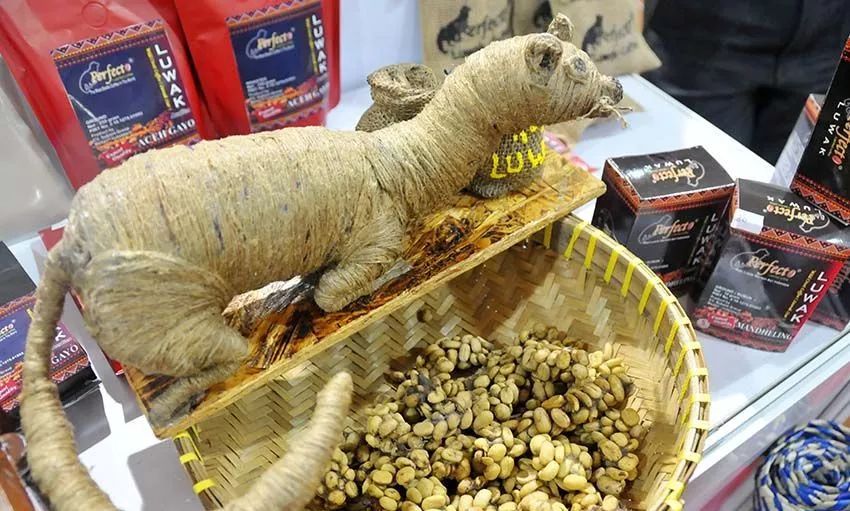 东盟猫屎咖啡,南博会上的猫屎味咖啡