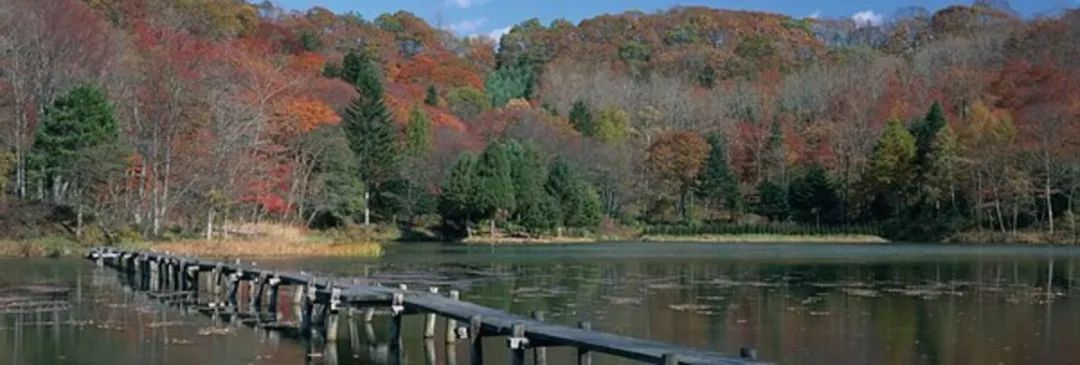 回归大自然呼吸天然氧吧,回归大自然清新空气