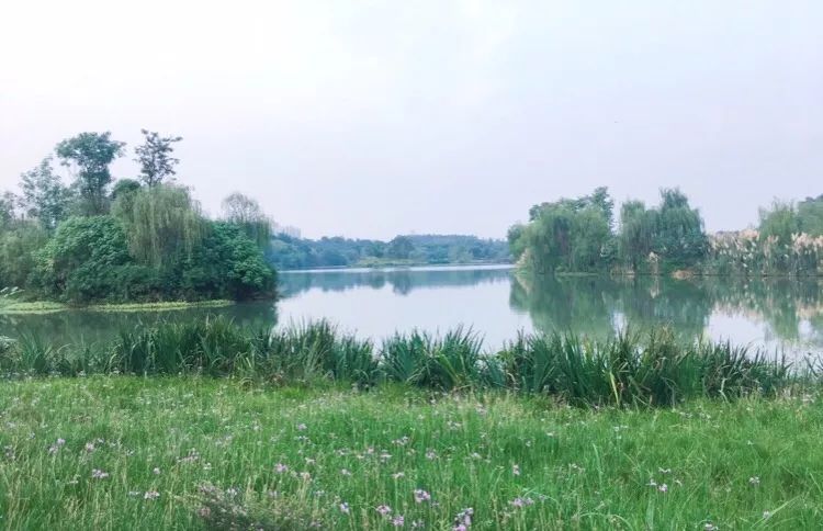 回归大自然呼吸天然氧吧,回归大自然清新空气