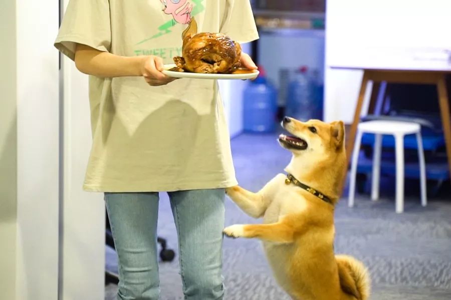 costco的哪些值得买,costco有哪些值得买的