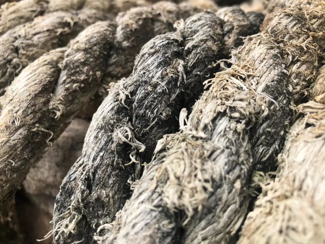 厦门旅拍费用一般多少钱,旅拍厦门四日