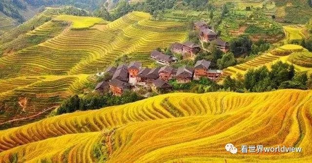 广西今日头条地址,广西有哪些头条自媒体