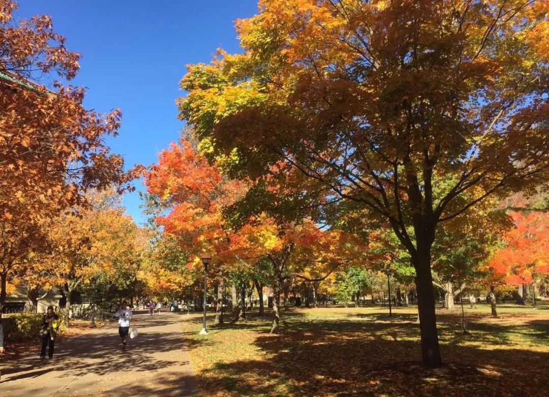 为什么感觉留学好难,2022年去韩国留学越来越难