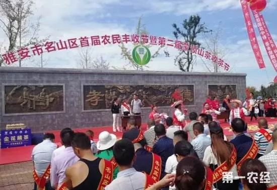 桂花节2019,月亮湖桂花节