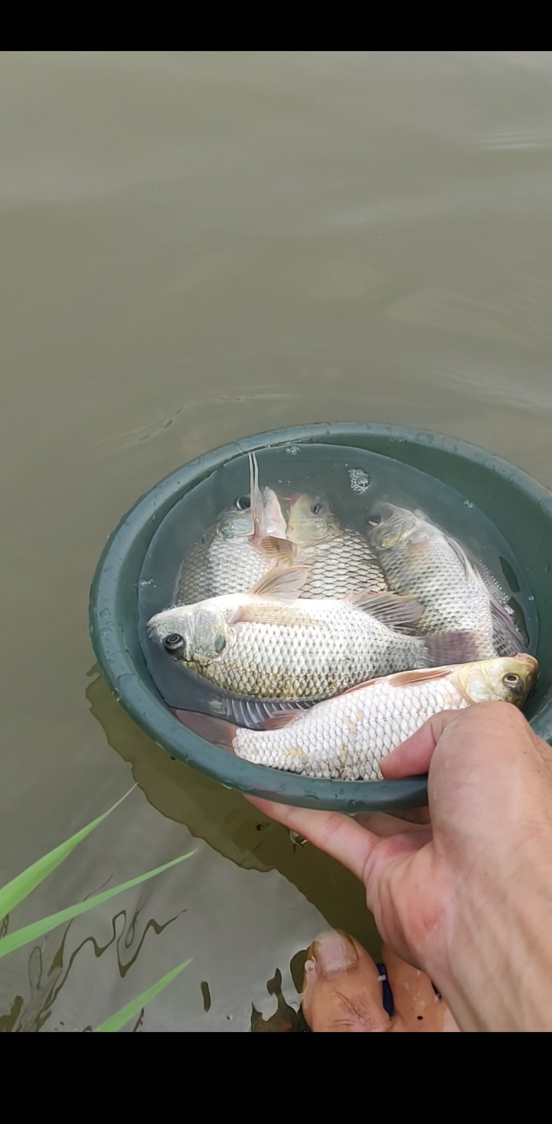 水情不稳定如何钓鱼,水情不明钓鱼必须每次都调漂吗