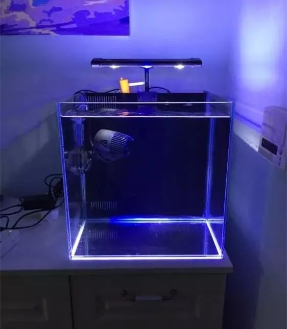 40方缸用背滤,小尺寸背滤