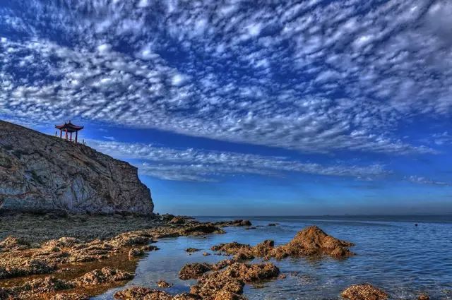 大连开海后的海鲜,开海了吃海鲜去哪个码头最便宜