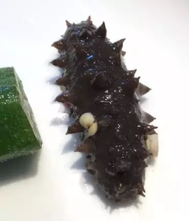 大连开海后的海鲜,开海了吃海鲜去哪个码头最便宜