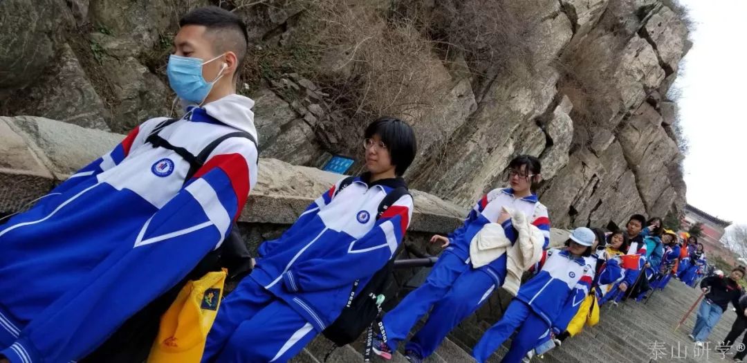 研学泰山,研学行万里探索知天下