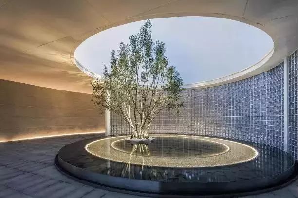 星之所向聆风,星之所向