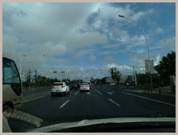 异地最后一次作钓，江鳊鱼获全部送邻居