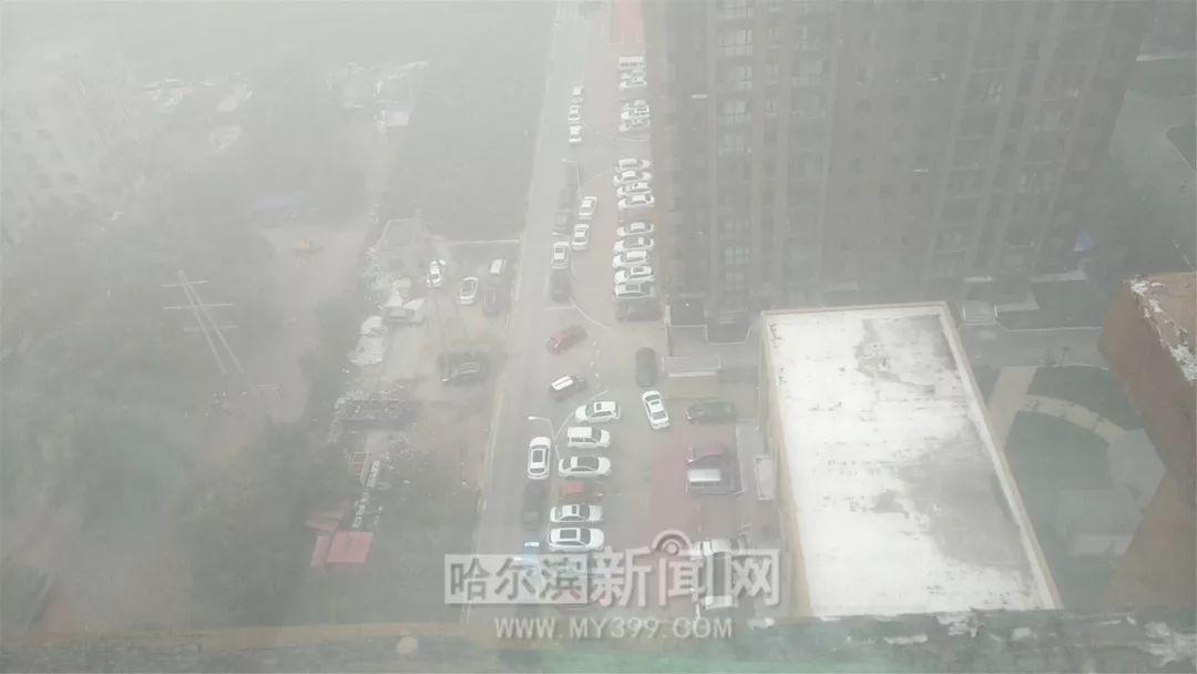 哈尔滨风景好的大公园推荐,哈尔滨松北区哪个公园好看