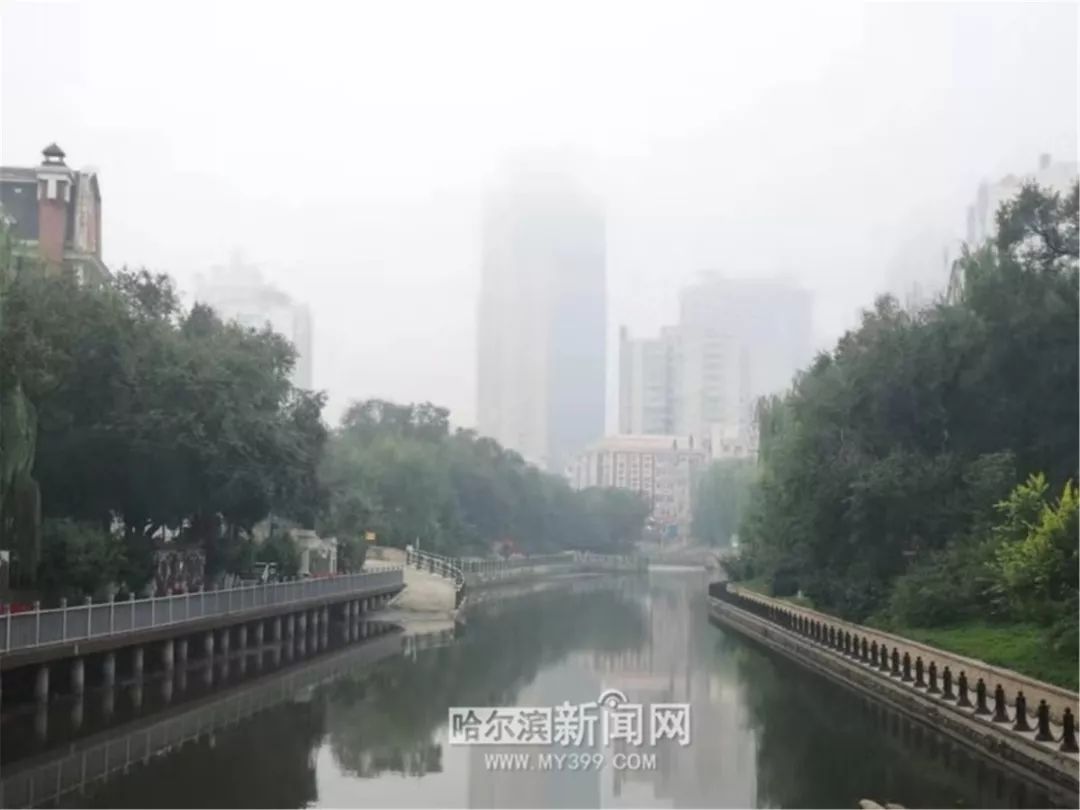 哈尔滨风景好的大公园推荐,哈尔滨松北区哪个公园好看