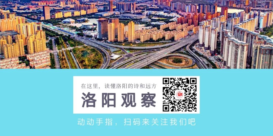 洛阳这个特色商业区连续5年居全省十强，河南日报头版头题点赞西工区
