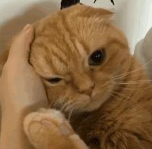 李佳琦居然也翻车了?!周震南也太蠢萌了吧