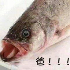 舶来品是真的吗,海外舶来品