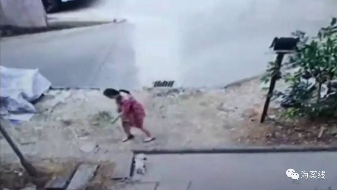 狗咬狗，咬死狗，狗主人需要赔偿吗？