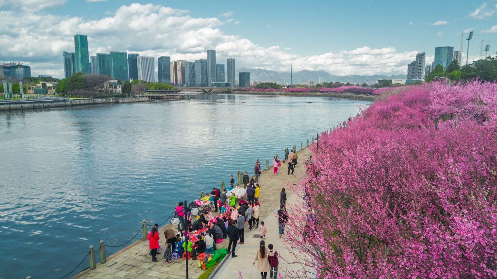 您就是义乌的“代言人”！接到这个电话，千万别挂掉