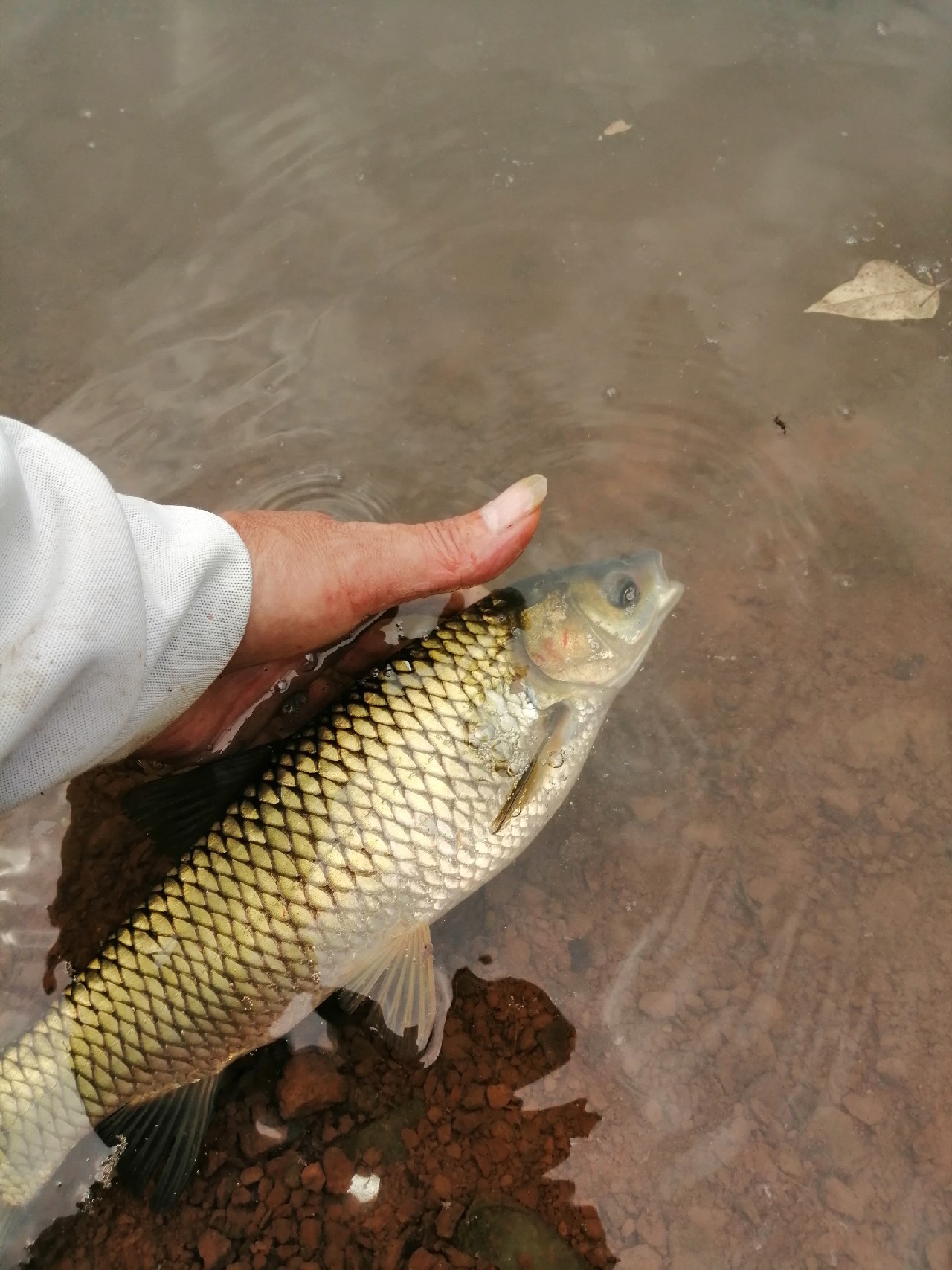 别人对你说钓鱼是什么意思,对于钓鱼各位钓友有什么看法