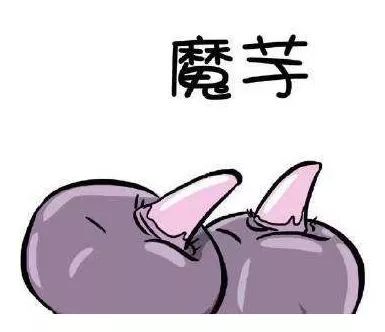 绾ょ淮榄旇妺,妞嶇墿绾ょ淮榄旇妺