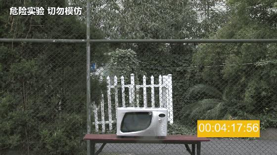 微波炉爆炸后遗症,微波炉爆炸后果