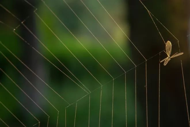 只有稻子并未虚度|此刻夜读