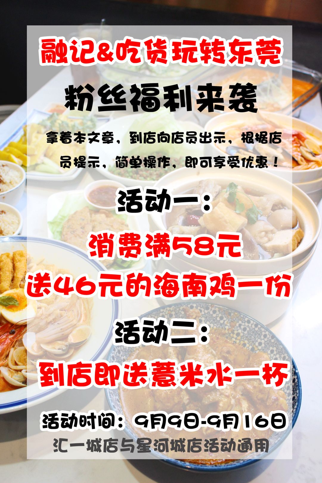 鸡苗高口碑店铺,口碑好的优质鸡