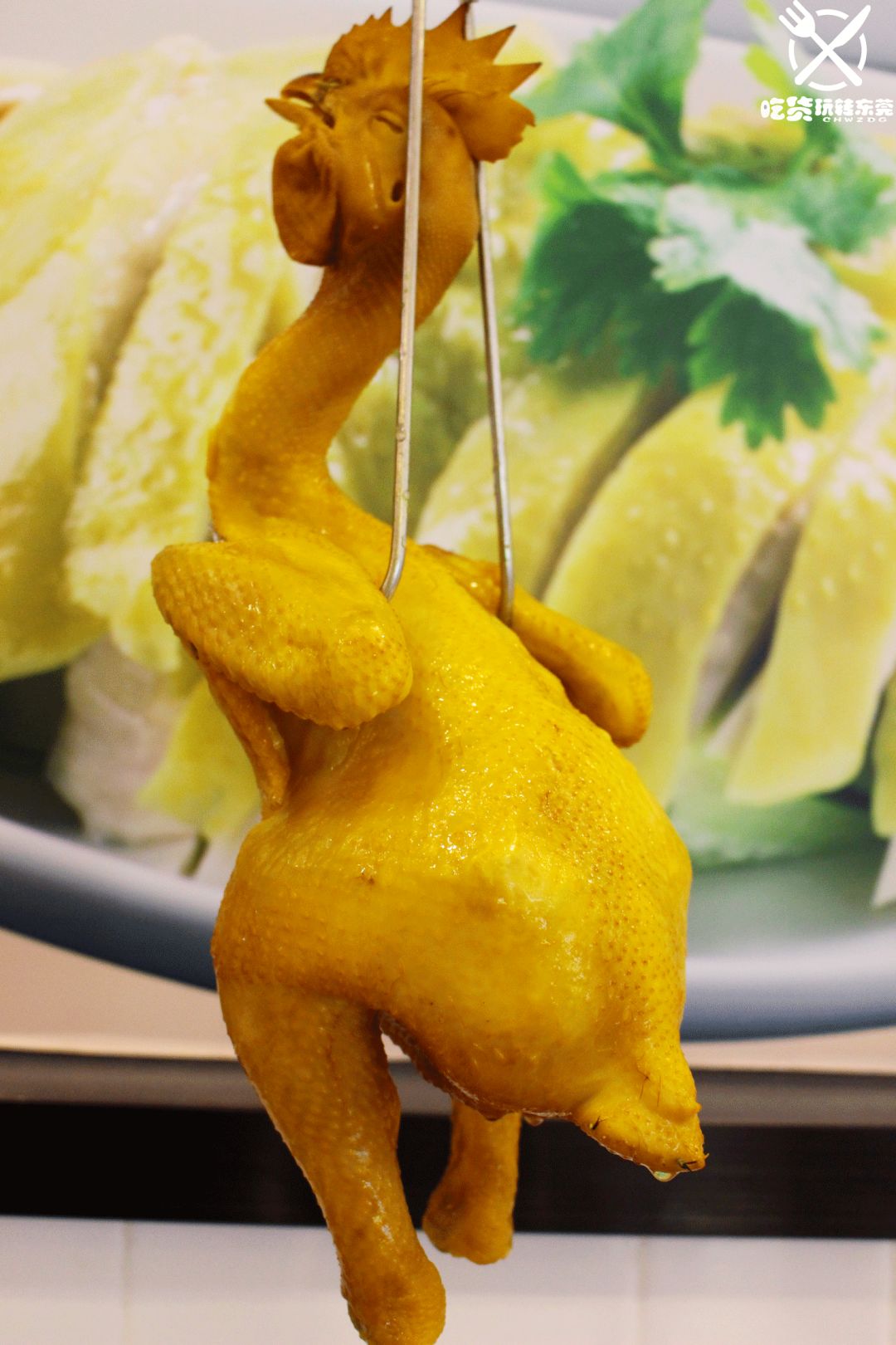 鸡苗高口碑店铺,口碑好的优质鸡