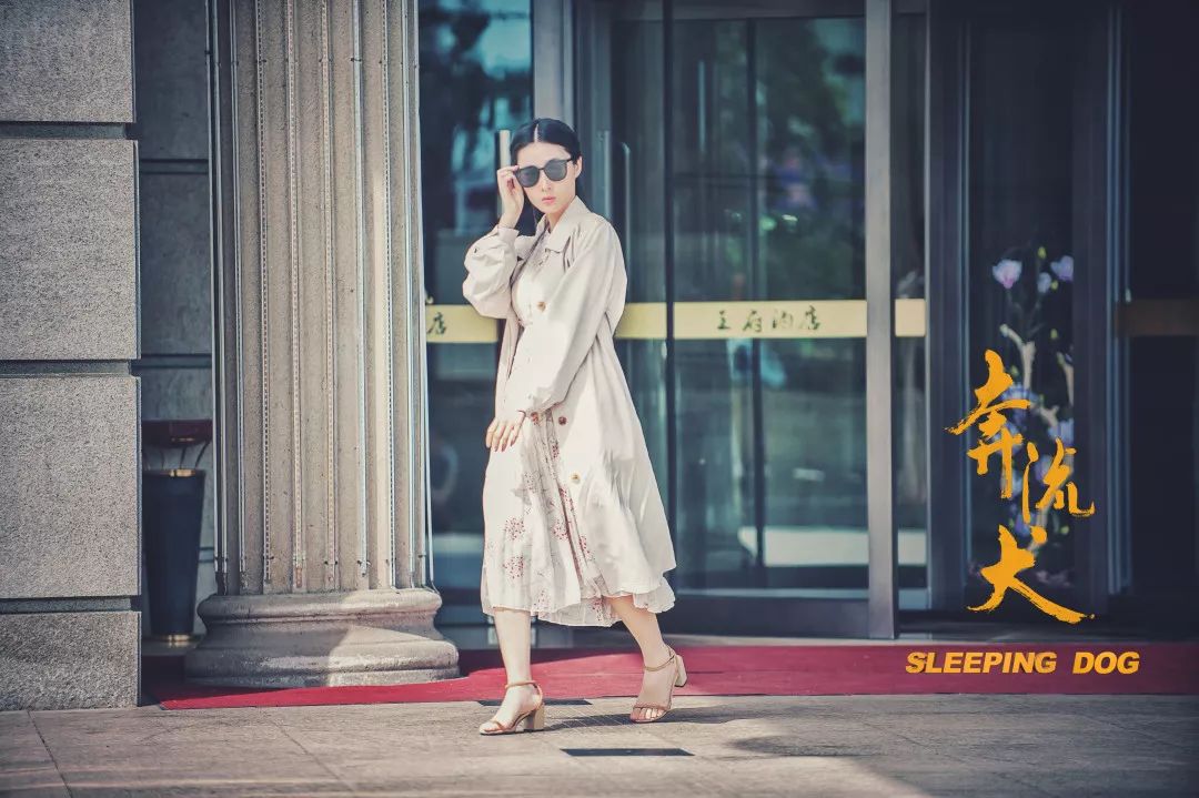 奔流犬：先生归来,奔流犬