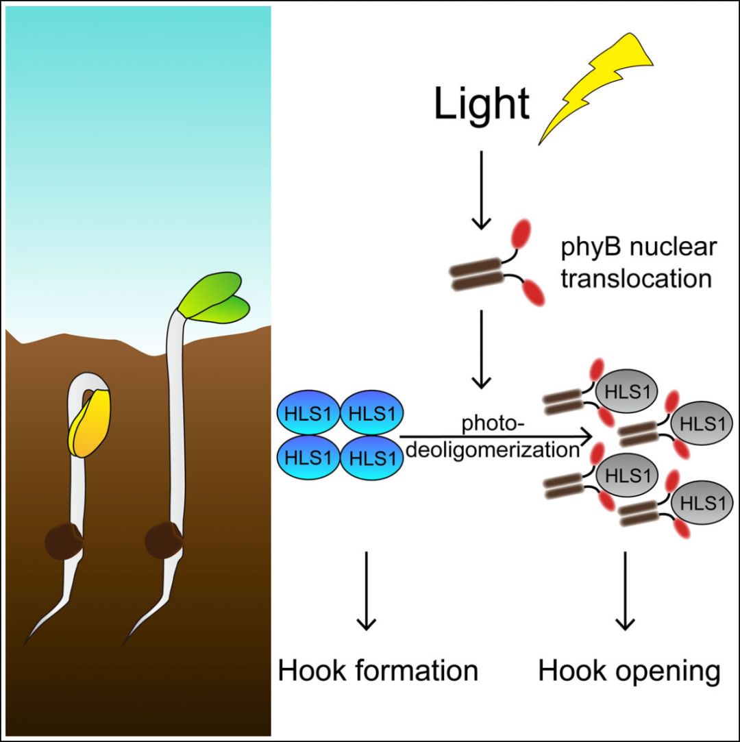北大排名超清华,全国高校自然指数排名中北大学