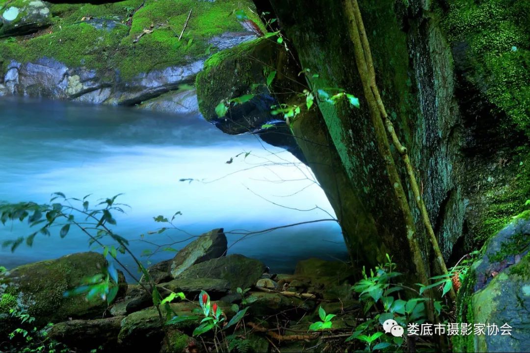 生态娄底美丽家园——【壮丽70年奋斗新时代】娄底首届风光摄影作品展览生态小品作品选登