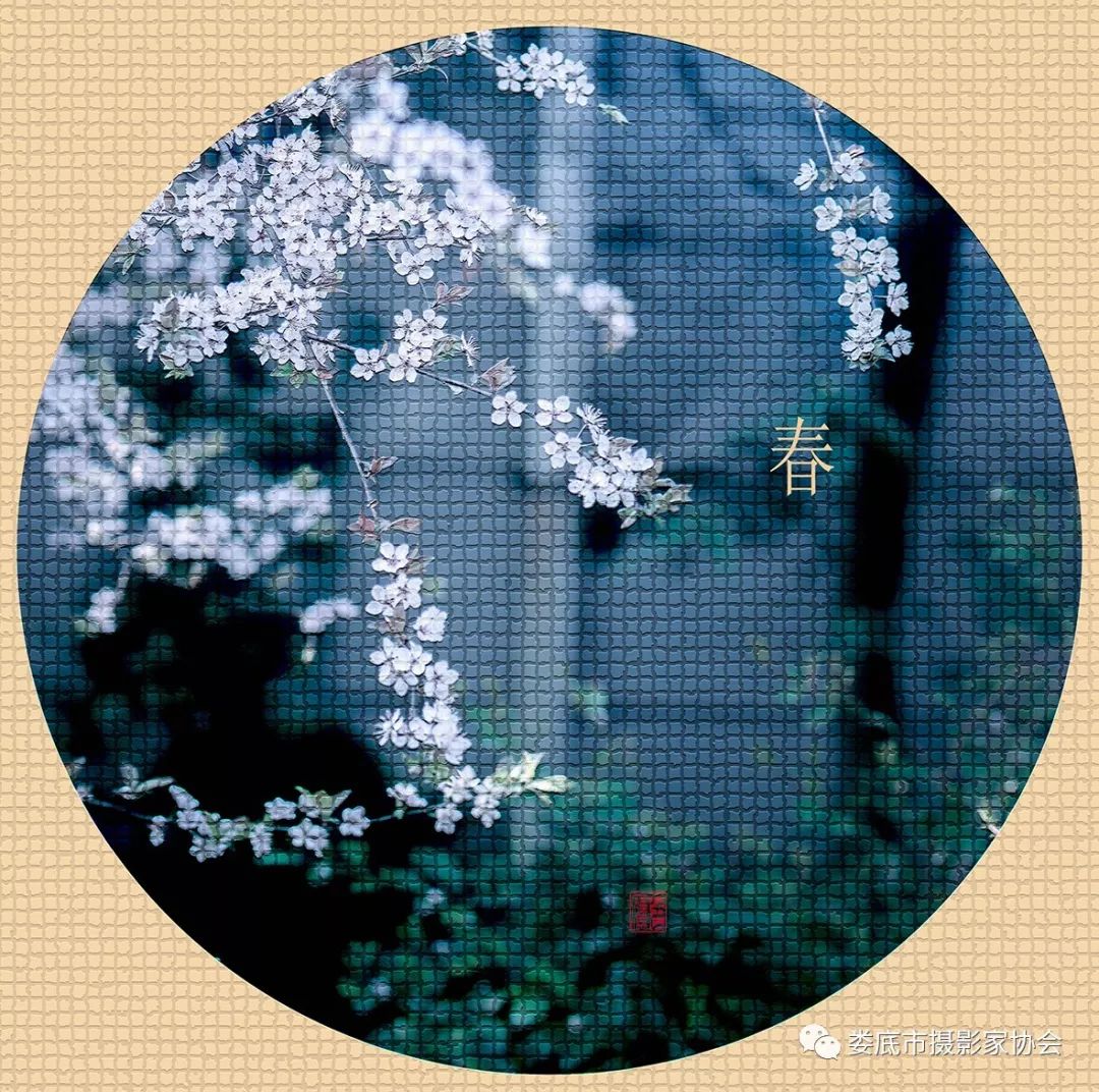 生态娄底美丽家园——【壮丽70年奋斗新时代】娄底首届风光摄影作品展览生态小品作品选登