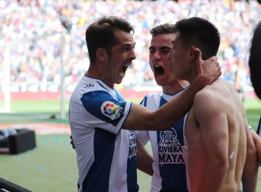 星辉娱乐陈雁升,陈雁升星辉娱乐有限公司