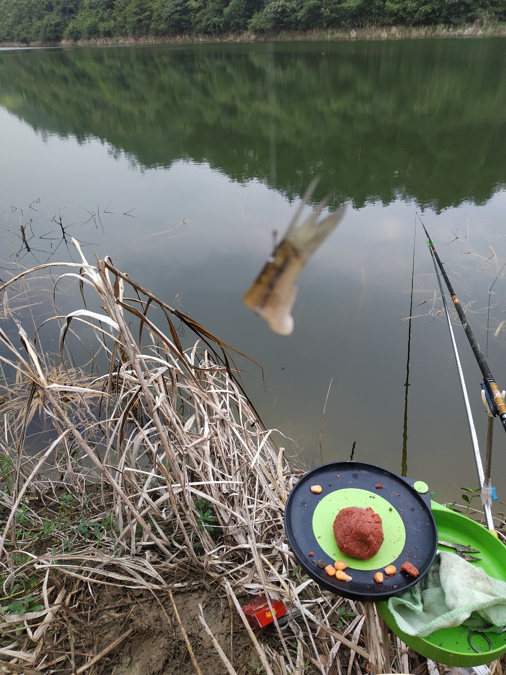 如何把握钓鱼时间,一天钓鱼最好时间段是中午吗